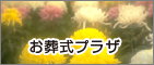 �������v���U